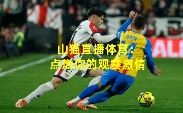 山猫直播体育：点燃你的观赛激情