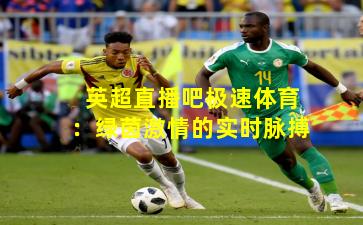 英超直播吧极速体育：绿茵激情的实时脉搏