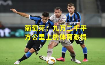 葡萄牙：九万二千平方公里上的体育激情