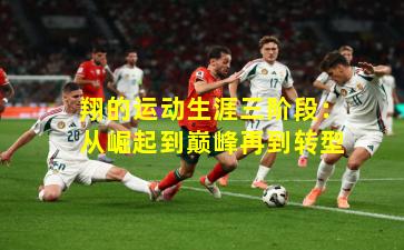 翔的运动生涯三阶段：从崛起到巅峰再到转型