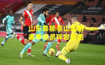 山东鲁能泰山队新赛季球员阵容全览