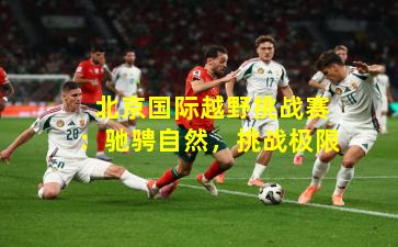 北京国际越野挑战赛:驰骋自然,挑战极限