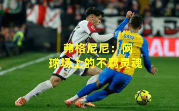 弗格尼尼:网球场上的不羁灵魂